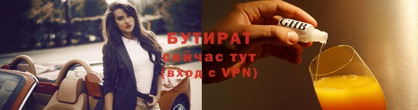 шишки Бородино