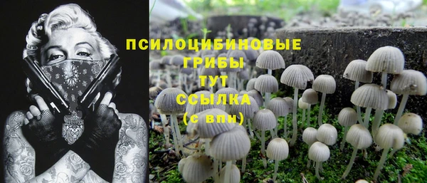 меф Богданович