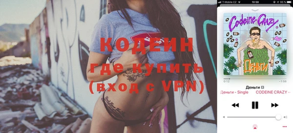 шишки Бородино