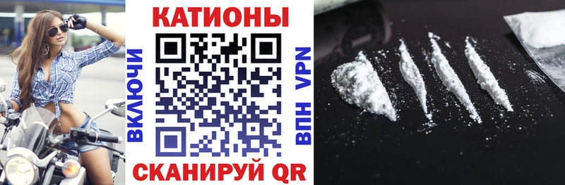МЯУ-МЯУ мука  Купить где  Свободный 