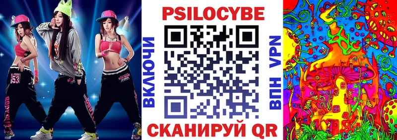 Купить где  Свободный  Галлюциногенные грибы Psilocybine cubensis 
